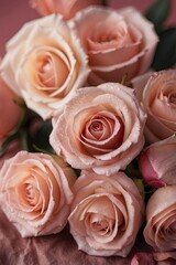 pink roses backdrop for wedding party and background