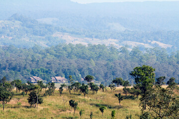 Perfect forest, Viewpoint Thung Salaeng Luang National Park