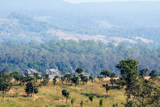 Perfect forest, Viewpoint Thung Salaeng Luang National Park