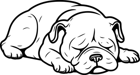 Fototapeta premium bulldog sketch drawing
