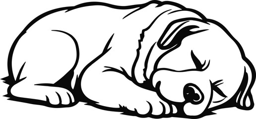 bulldog sketch drawing