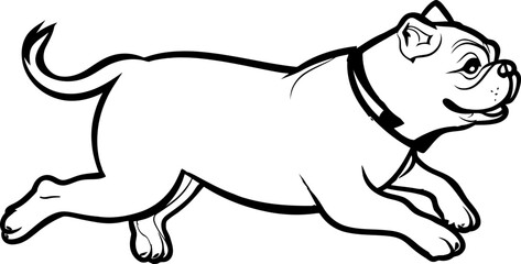 bulldog sketch drawing