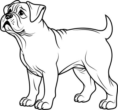 recommend clip art: bulldog sketch drawing