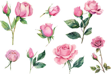 seamless pattern with pink roses