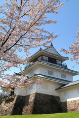 悠久山公園の桜とお城（長野県・長岡市）