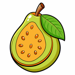 vector illustration of an sapote