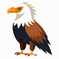 african fish eagle vector