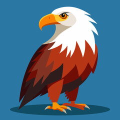 eagle vector illustration