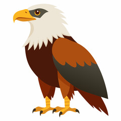 african fish eagle vector