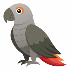 african grey parrot vector