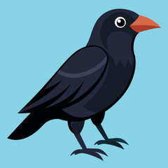 american crow vector