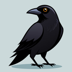 crow vector art