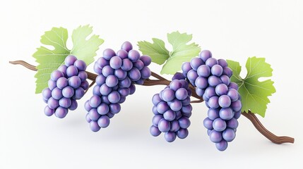 Realistic Grapes Cluster with Leaf on a White Background