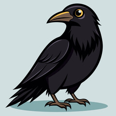crow illustration