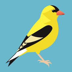 goldfinch vector