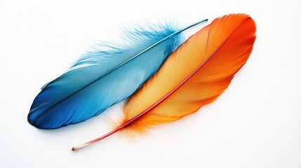 Vibrant Blue and Orange Feathers Displaying Nature's Beauty and Delicate Textures on a White Background for Arts and Crafts Projects, Home Decor, and More
