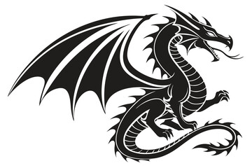 black and white dragon