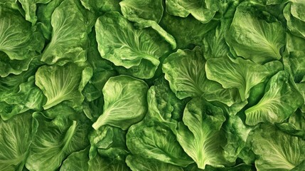 Fototapeta premium Fresh Green Lettuce Leaves Arranged in an Abundant Layer, Showcasing the Natural Texture and Vibrant Color of Crisp Vegetables for Healthy Eating Concepts