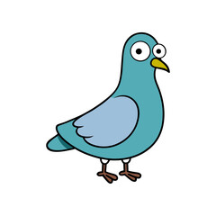 Pigeon Cartoon vector