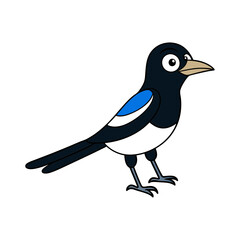 Magpie Cartoon vector