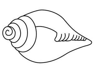 Cute cartoon hand drawn vector conch sea shell coloring page.