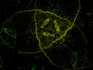 Imaginatory fractal abstract background Image