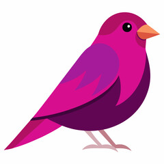 vector art of a purple finch