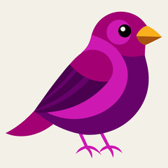 purple finch illustration