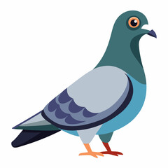 illustration of a rock pigeon