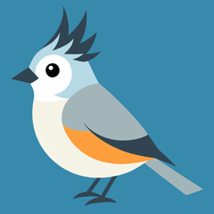 tufted titmouse illusttration