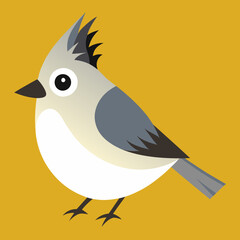 tufted titmouse vector