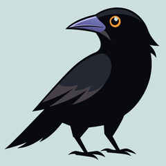crow 