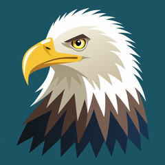 american bald eagle