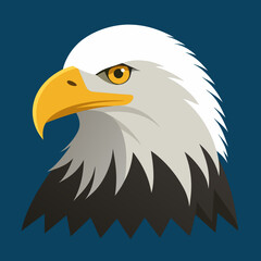 american bald eagle illustration