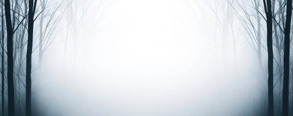 Blurred abstract background concept. A serene misty forest landscape with tall trees and soft light in the background.