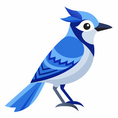 blue jay bird sitting on a branch