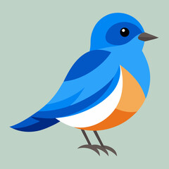vector of eastern bluebird