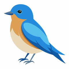 eastern bluebird vector art
