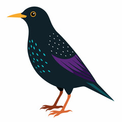 european starling vector