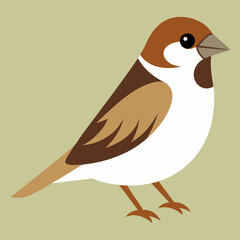 house sparrow vector art
