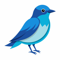 mountain bluebird  vector art