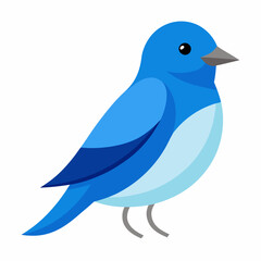 mountain bluebird  illustration