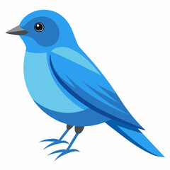 mountain bluebird vector art