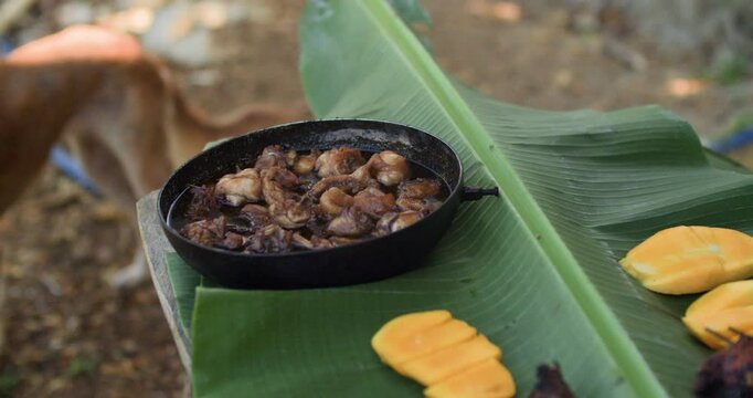 Curious dogs attempt to grab a bite of adobo on a boodle fight in Siargao.