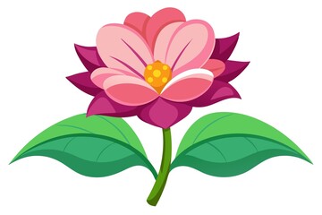 pink flower isolated on white