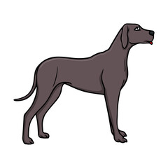 dog vector illustration