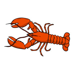 lobster vector illustration