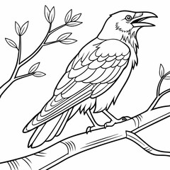 bird coloring page ,kids coloring page , coloring page for kids, animal coloring page, KDP, Animal Coloring Page For Kids