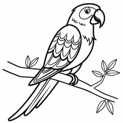 bird coloring page ,kids coloring page , coloring page for kids, animal coloring page, KDP, Animal Coloring Page For Kids