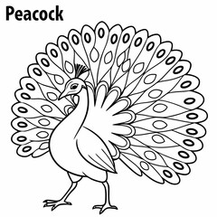bird coloring page ,kids coloring page , coloring page for kids, animal coloring page, KDP, Animal Coloring Page For Kids